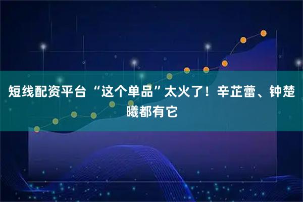 短线配资平台 “这个单品”太火了！辛芷蕾、钟楚曦都有它