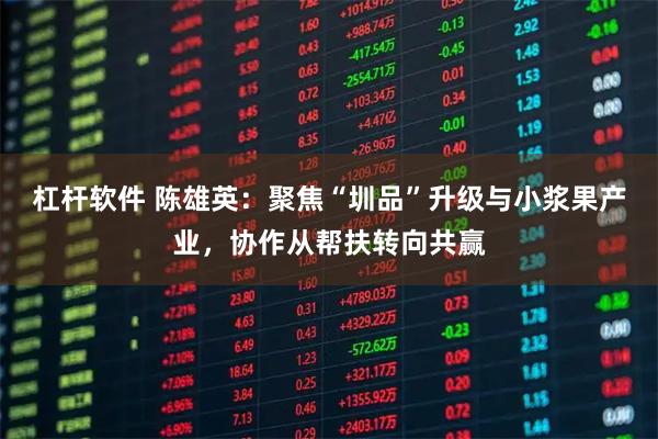 杠杆软件 陈雄英：聚焦“圳品”升级与小浆果产业，协作从帮扶转向共赢