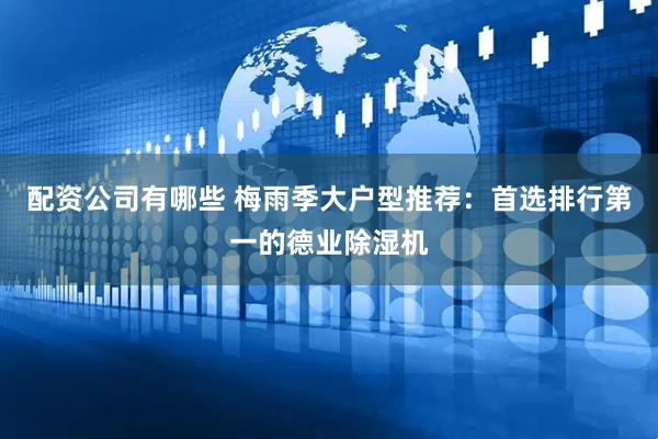 配资公司有哪些 梅雨季大户型推荐：首选排行第一的德业除湿机