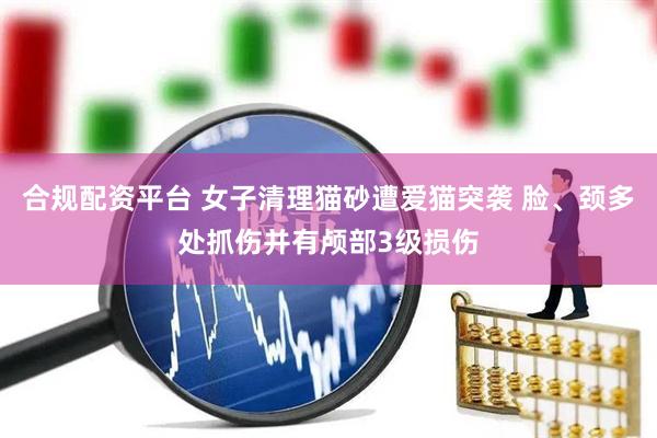 合规配资平台 女子清理猫砂遭爱猫突袭 脸、颈多处抓伤并有颅部3级损伤